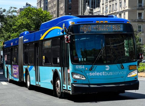 bus