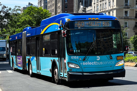 bus